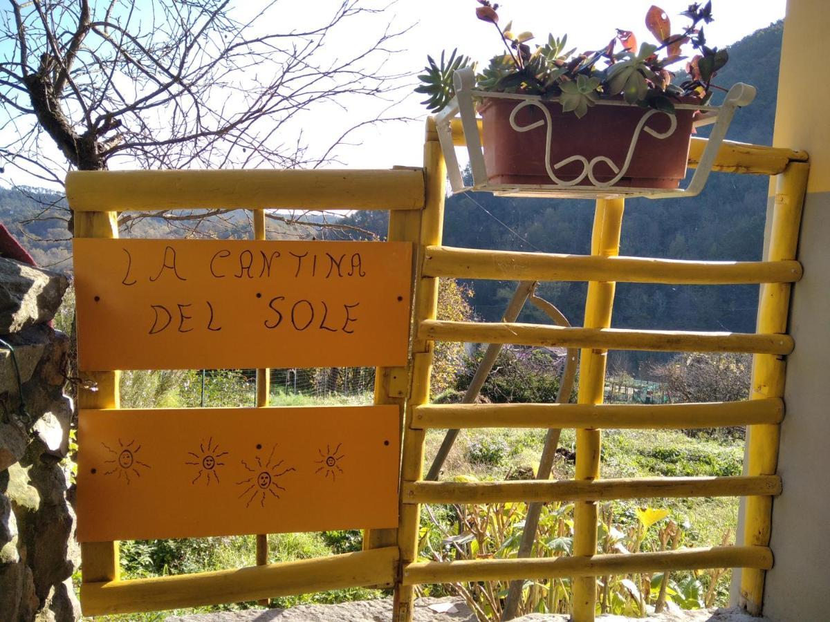 La Cantina Del Sole Riccò del Golfo di Spezia Dış mekan fotoğraf